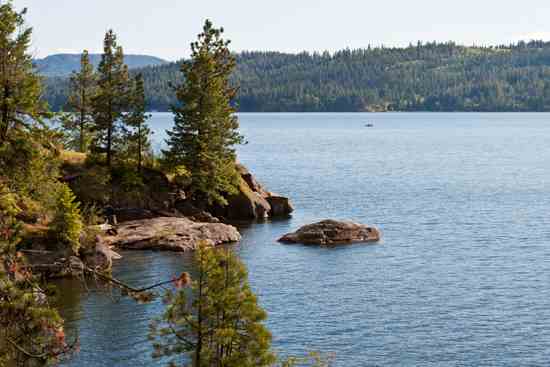 Northern Idaho Country Life and the Vienna Woods